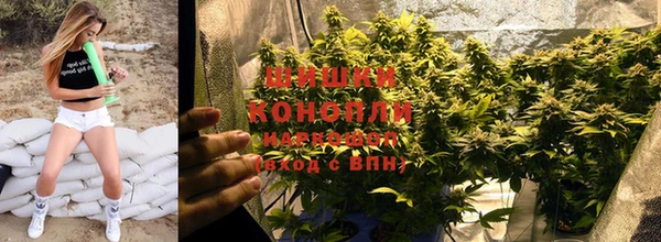 mdpv Нефтекумск